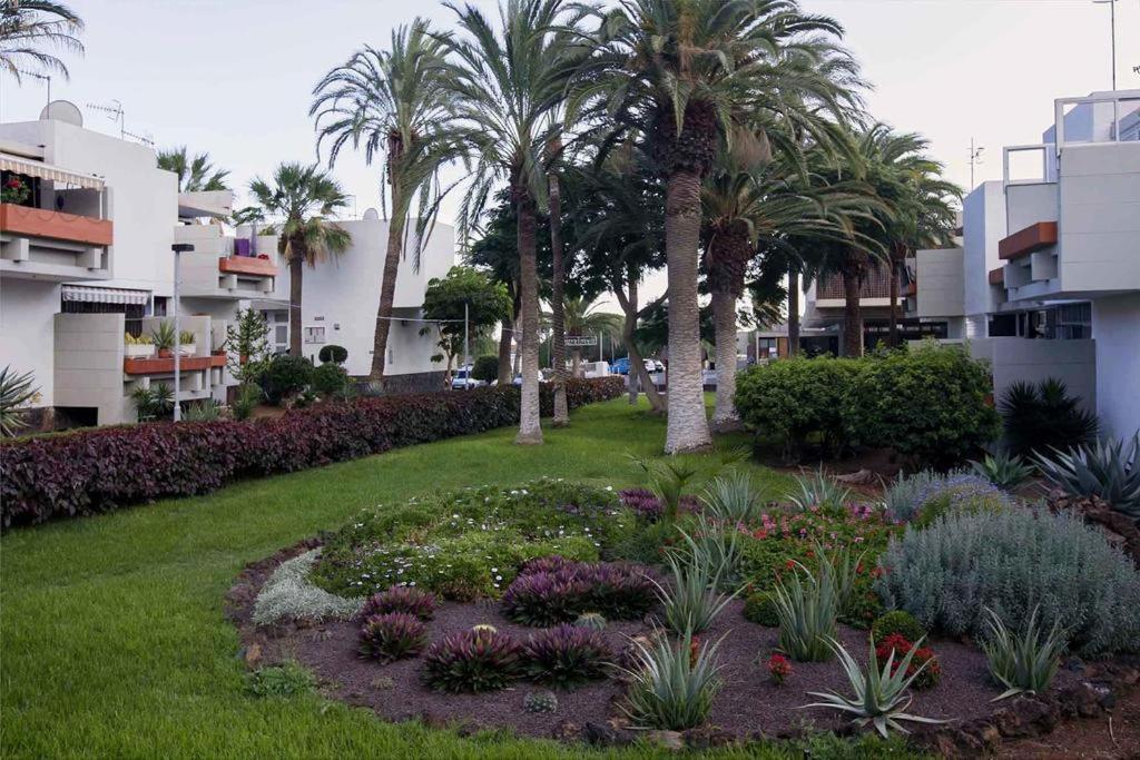 Apartament Apartament Frontera-Primavera Costa Del Silencio Zewnętrze zdjęcie
